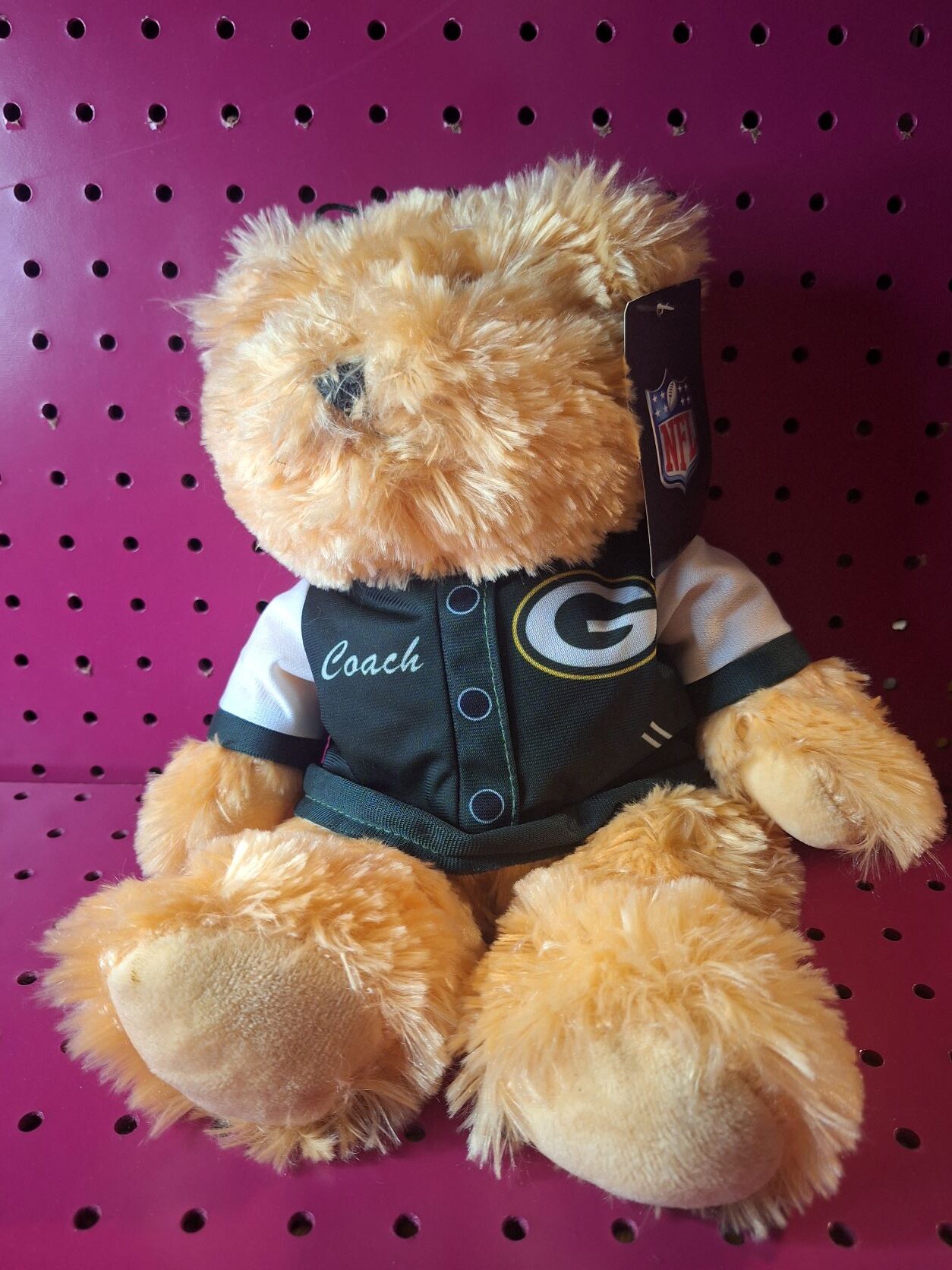 Packers Bear
