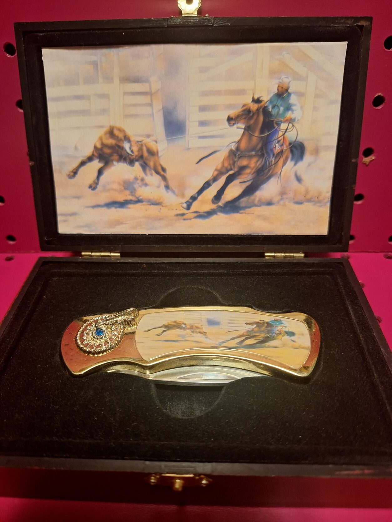 Rodeo knife