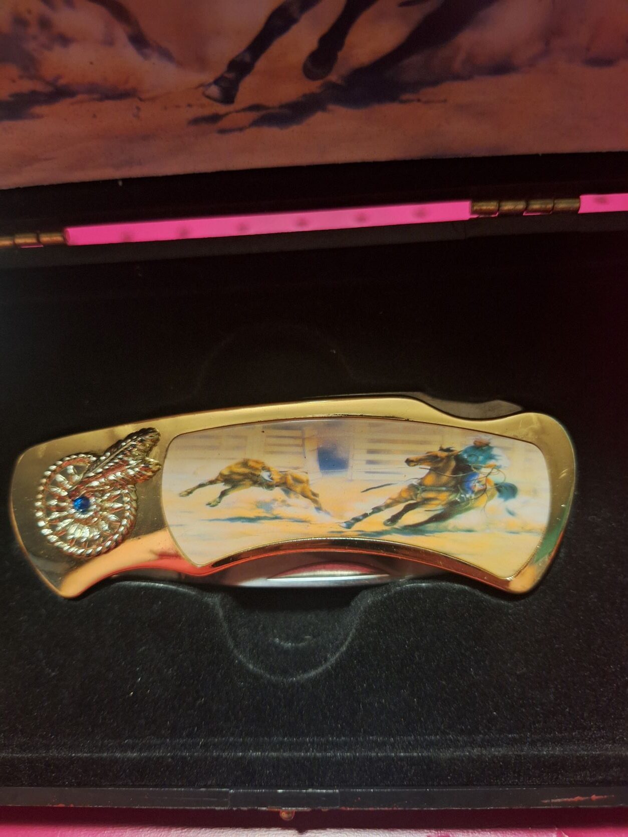 Rodeo knife
