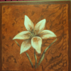 flower picture