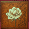 flower picture